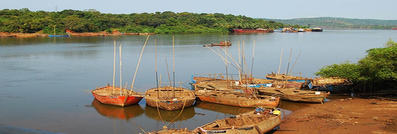 2015-11-19-1447916275-6031282-Goa5-thumb