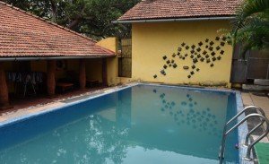 Terra Rosa-07 swimming pool      